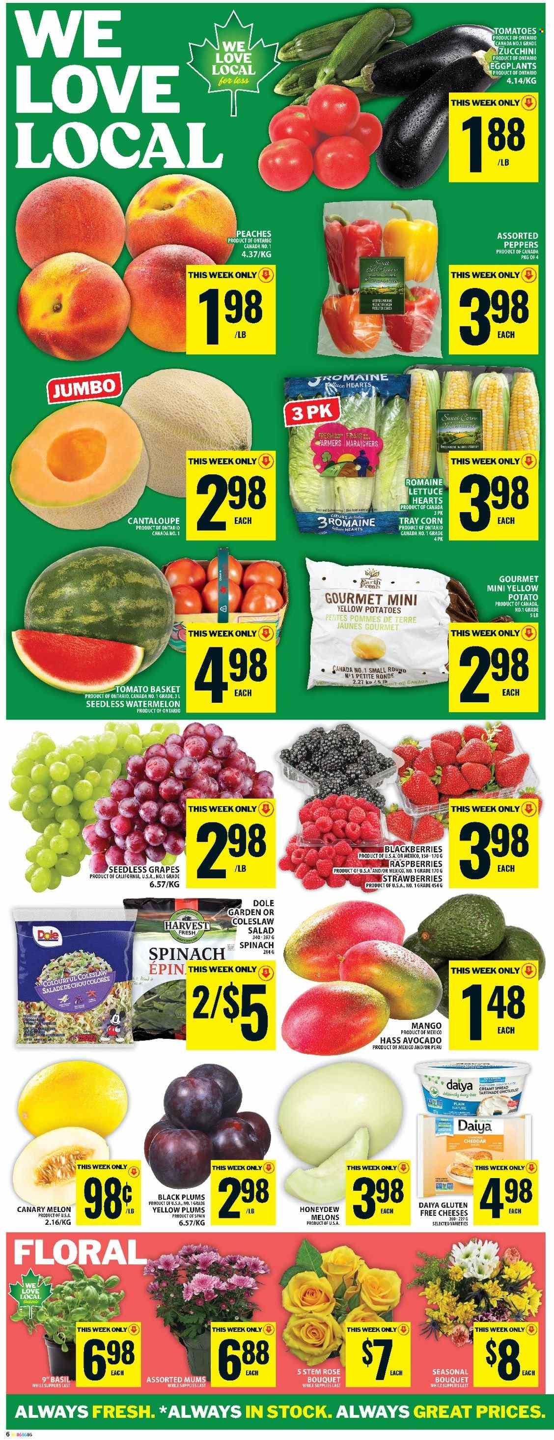 Food Basics flyer - August 28, 2025 - September 03, 2025. Page 9