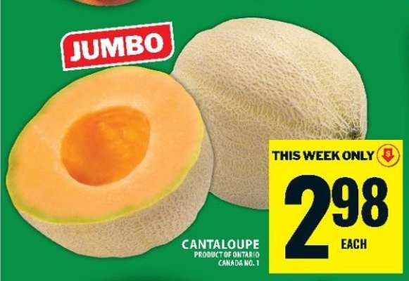 JUMBO CANTALOUPE