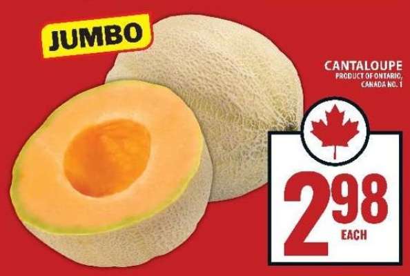 JUMBO CANTALOUPE