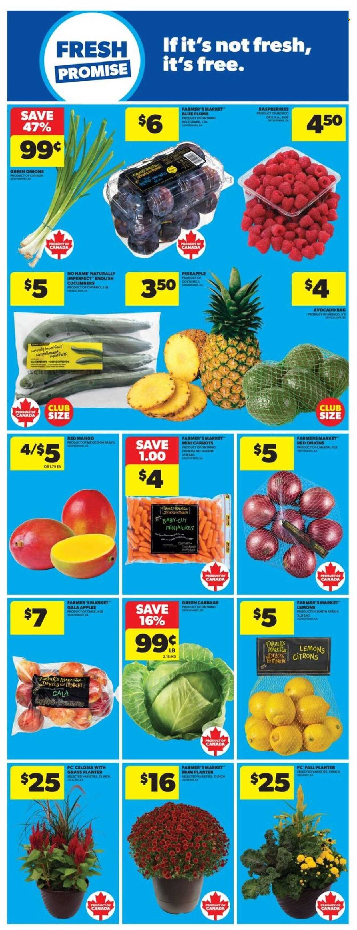 Real Canadian Superstore flyer - August 28, 2025 - September 03, 2025. Page 16