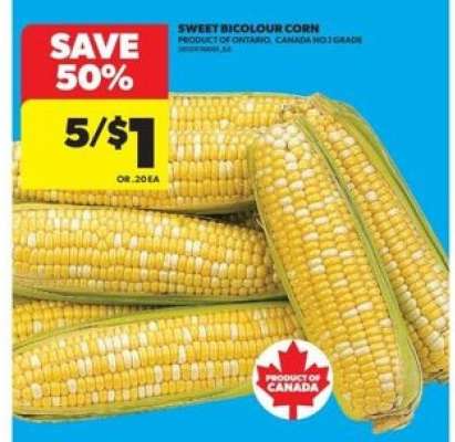 Sweet bicolour corn