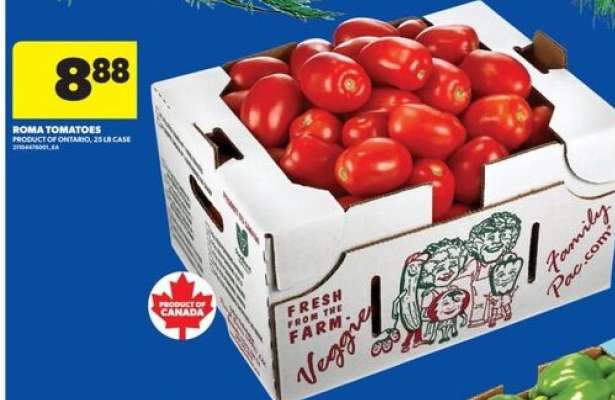Roma Tomatoes