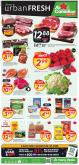 leaflet