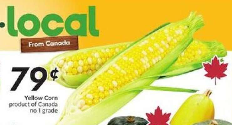 Yellow Corn