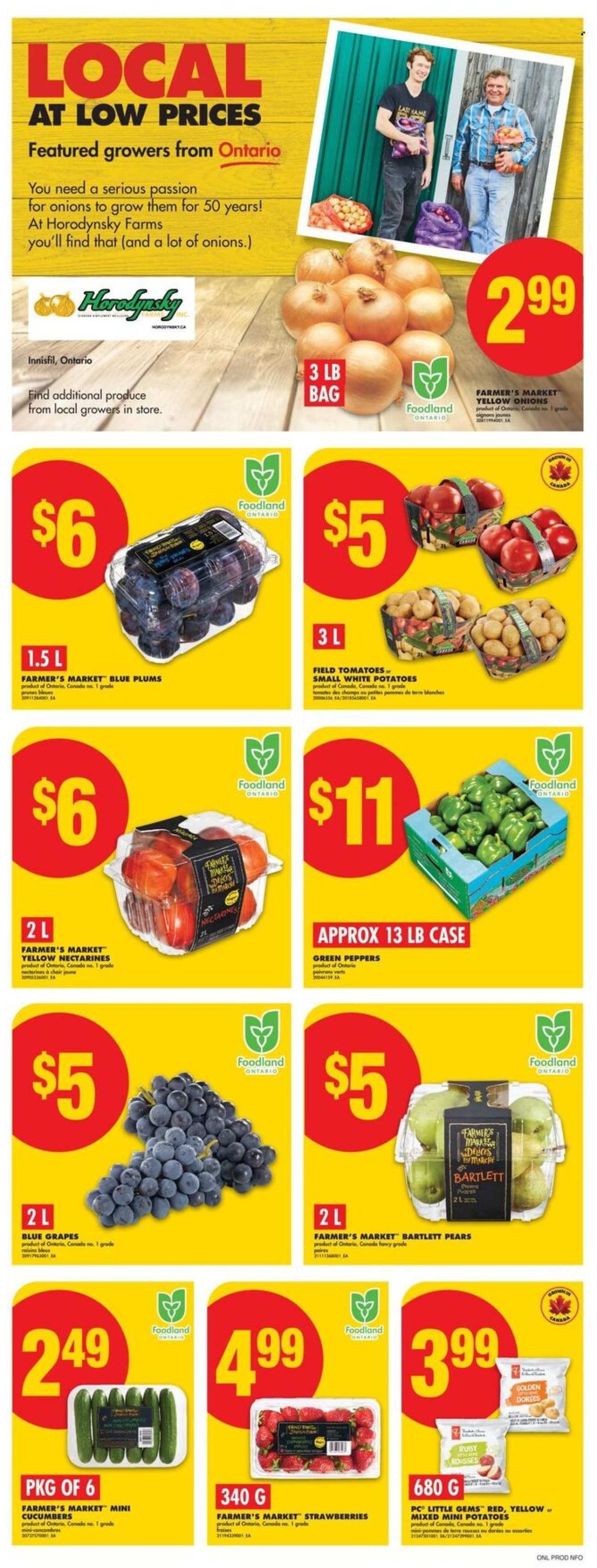 No Frills flyer - August 28, 2025 - September 03, 2025. Page 4