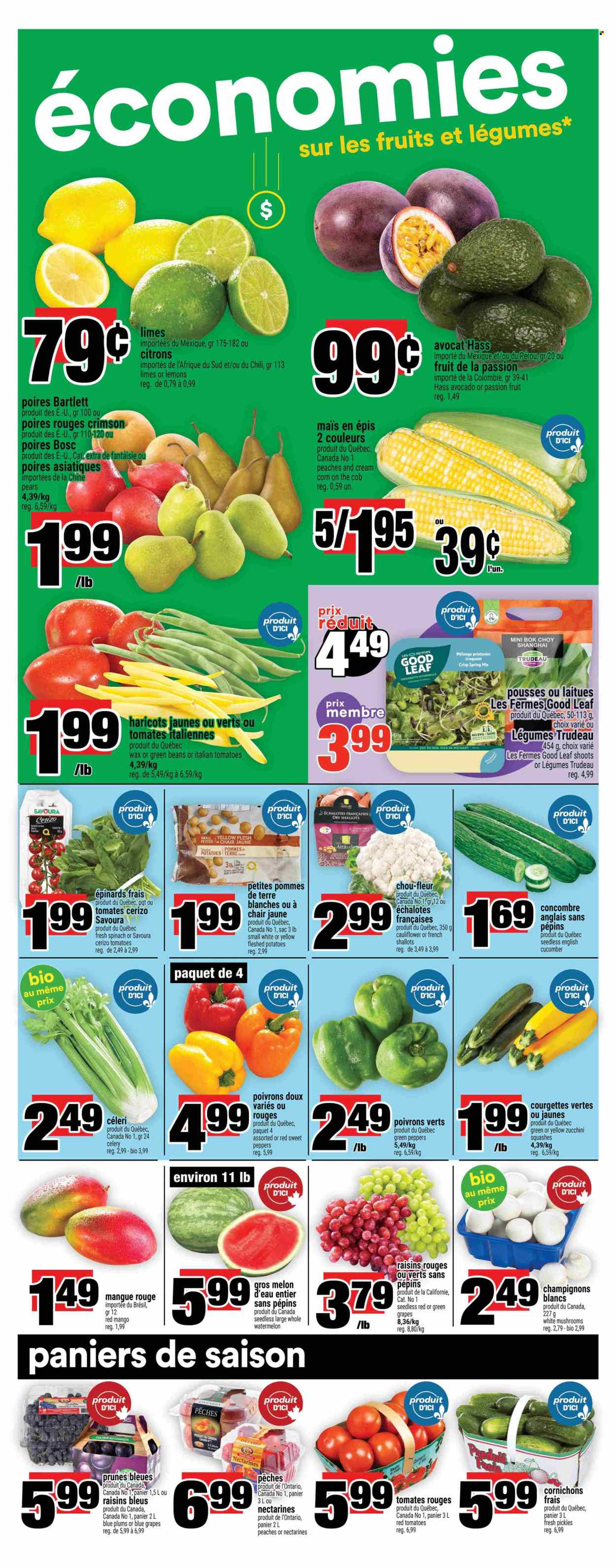 Super C flyer - September 04, 2025 - September 10, 2025. Page 8