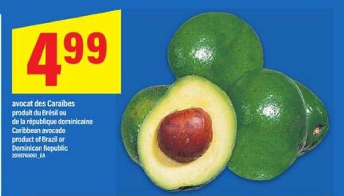 avocat des Caraïbes