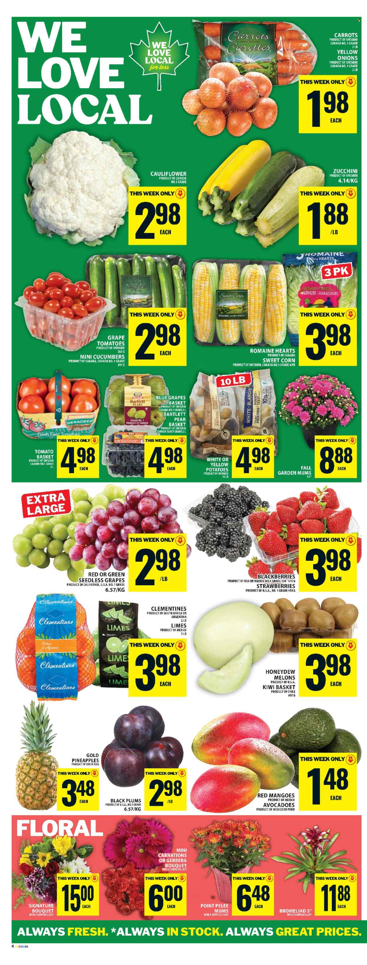 Food Basics flyer - September 04, 2025 - September 10, 2025. Page 7