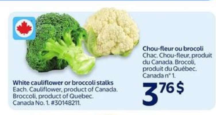 White Cauliflower or Broccoli Stalks