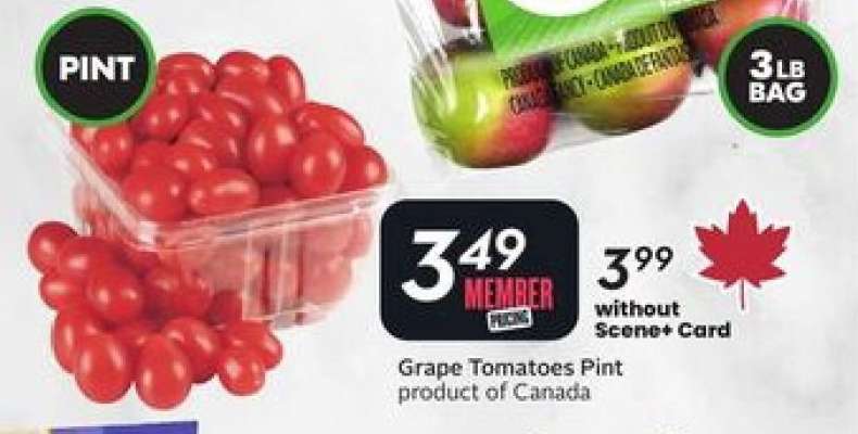 Grape Tomatoes Pint