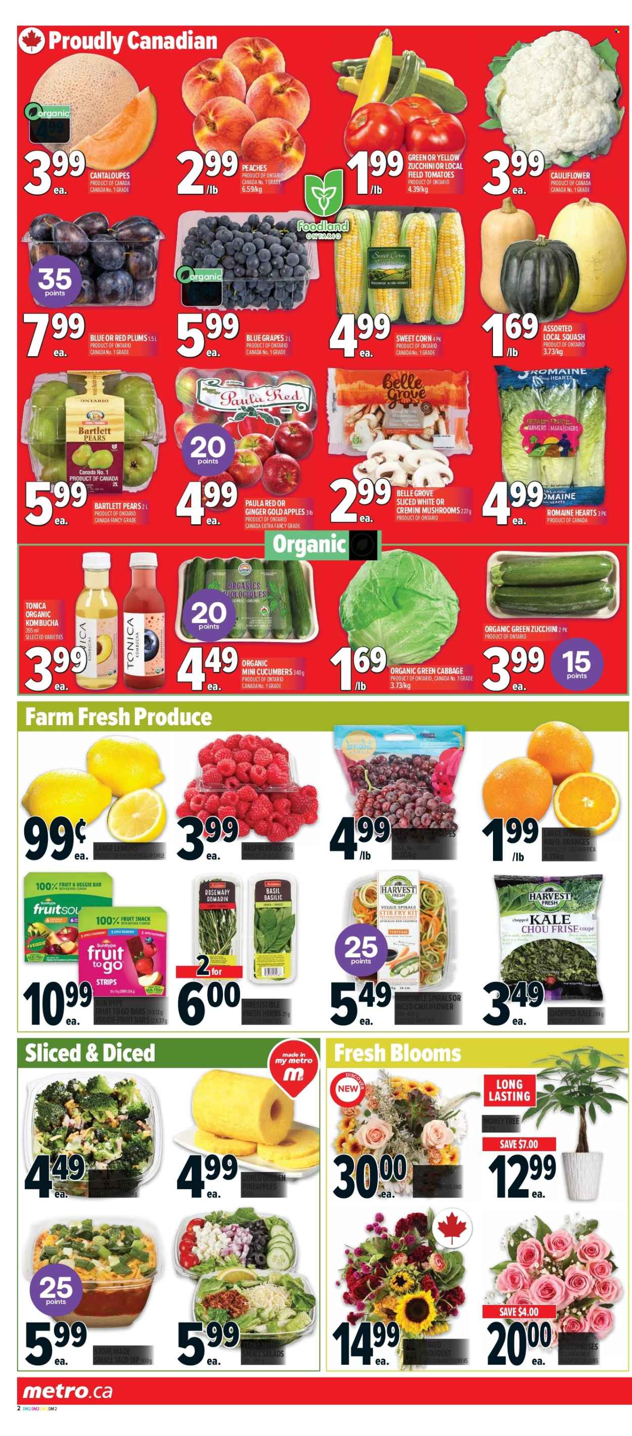 Metro flyer - September 04, 2025 - September 10, 2025. Page 5