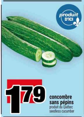 CONCOMBRE SANS PÉPINS