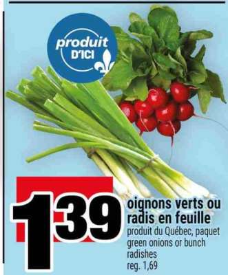 oignons verts ou radis en feuille