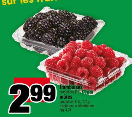 FRAMBOISES OU MÛRES