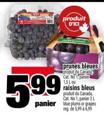 prunes bleues / raisins bleus
