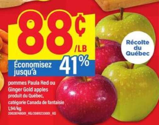 pommes Paula Red ou Ginger Gold