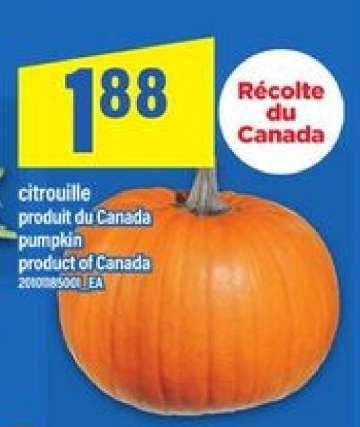 citrouille
