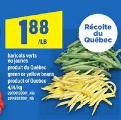 HARICOTS VERTS OU JAUNES