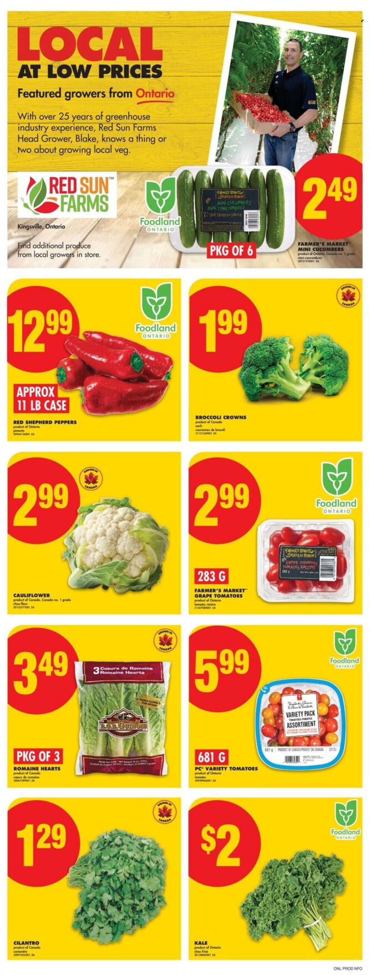 No Frills flyer - September 11, 2025 - September 17, 2025. Page 3