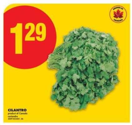 CILANTRO