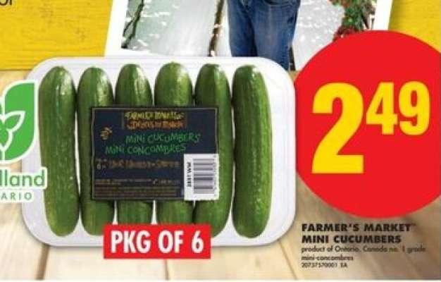 FARMER'S MARKET MINI CUCUMBERS