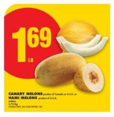 CANARY MELONS OR HAMI MELONS