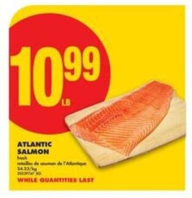 Atlantic Salmon