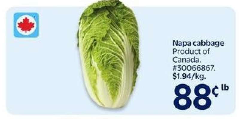 NAPA CABBAGE
