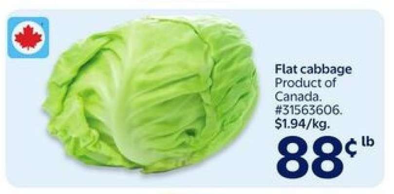 Flat Cabbage