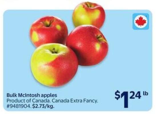 Bulk McIntosh Apples