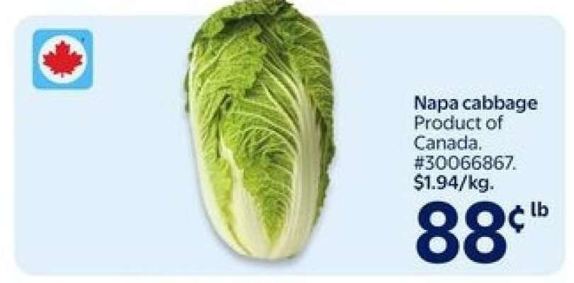 NAPA CABBAGE
