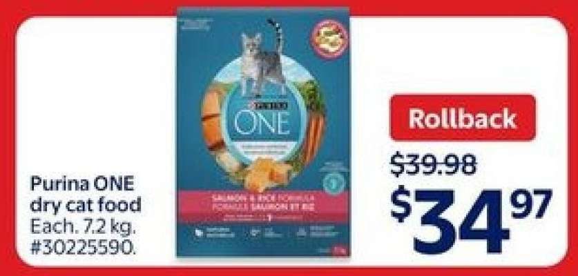 Purina ONE Dry Cat Food