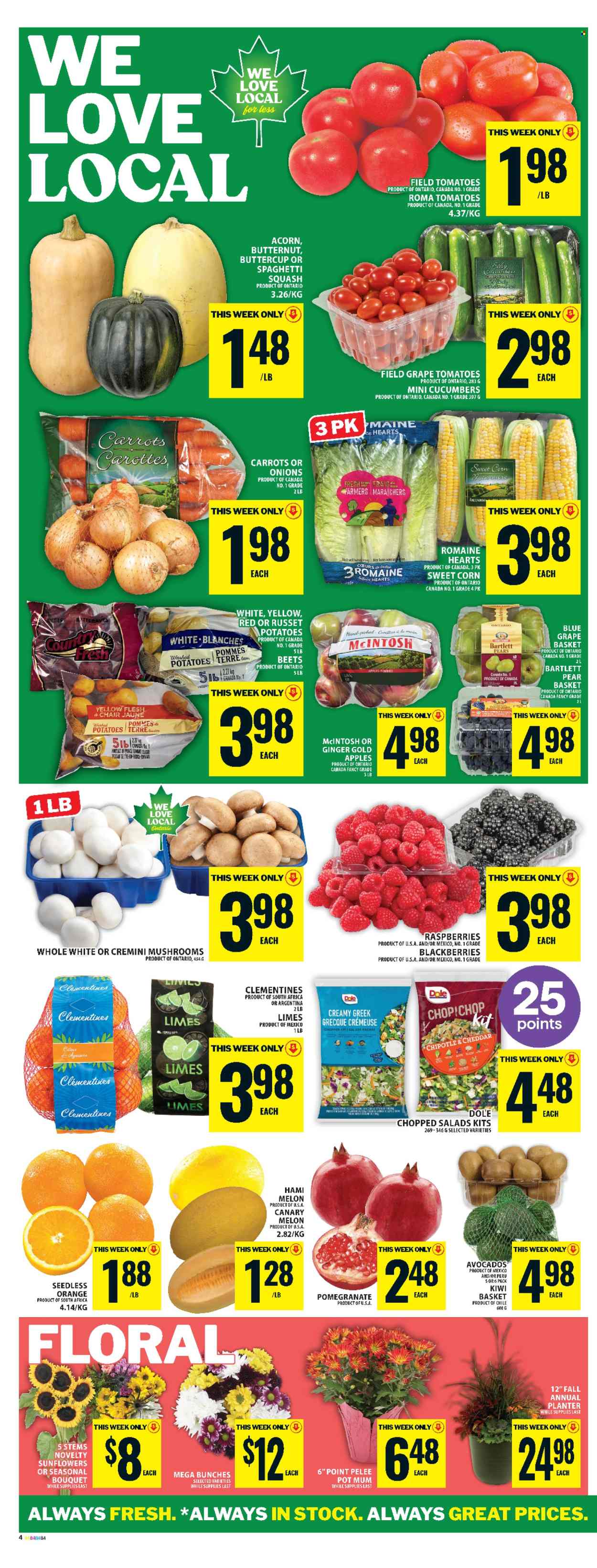 Food Basics flyer - September 11, 2025 - September 17, 2025. Page 7