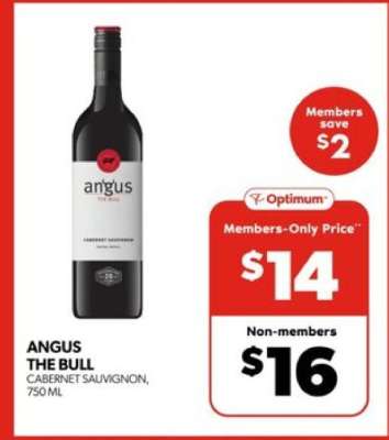 Angus the Bull