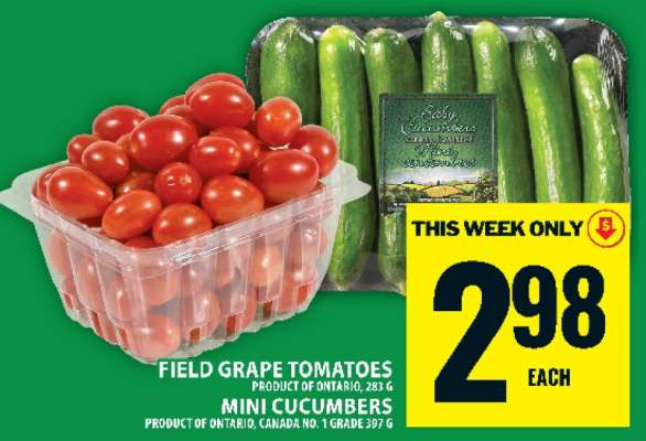Field Grape Tomatoes & Mini Cucumbers
