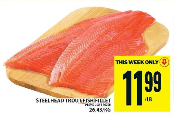 Steelhead Trout Fish Fillet