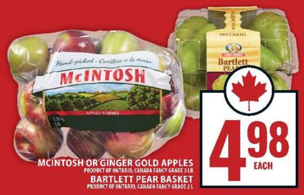MCINTOSH OR GINGER GOLD APPLES