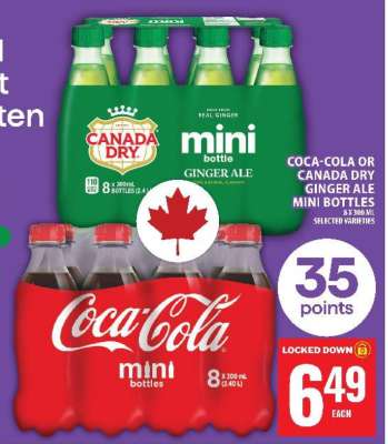 Coca-Cola or Canada Dry Ginger Ale Mini Bottles