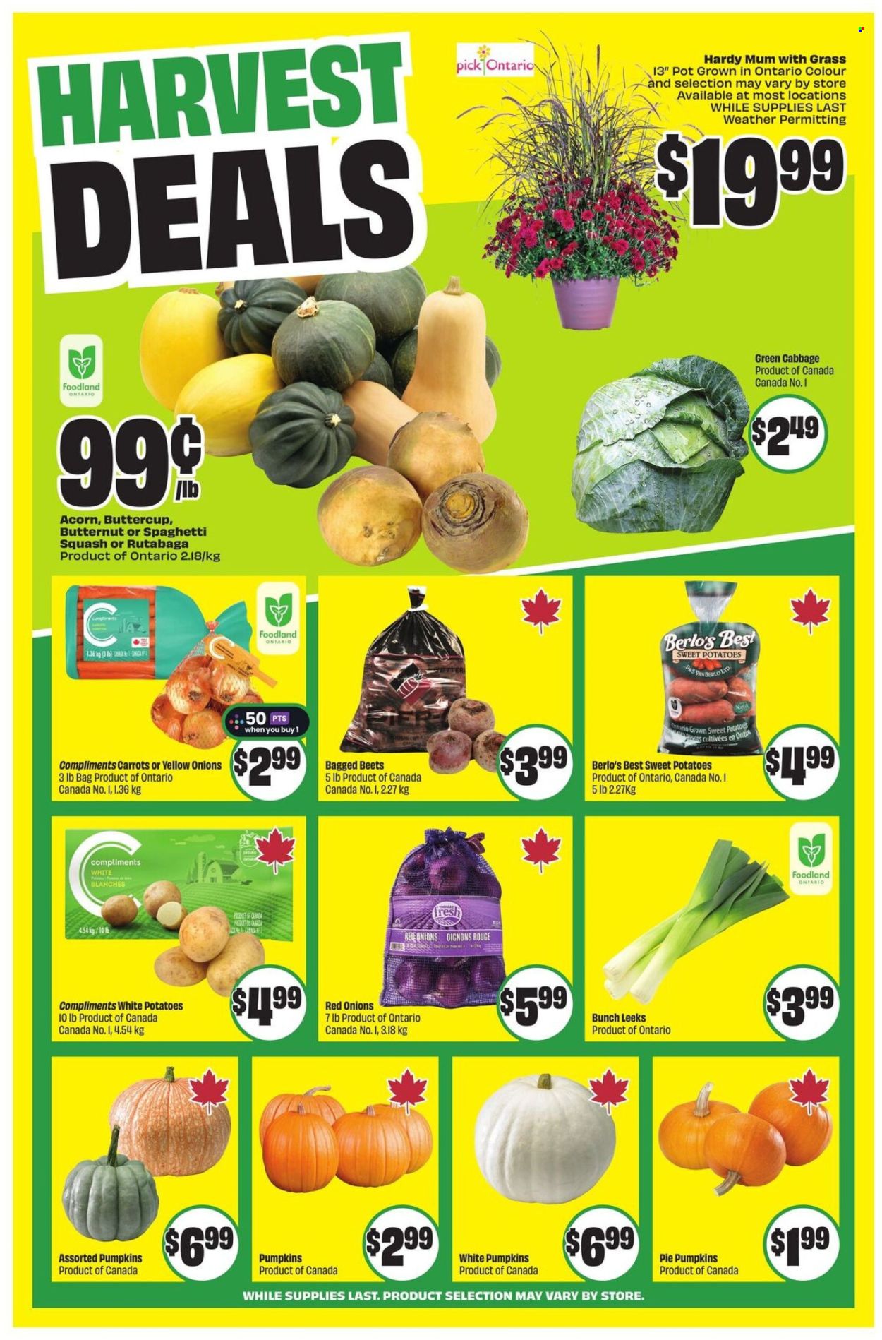 FreshCo. flyer - September 11, 2025 - September 17, 2025. Page 5