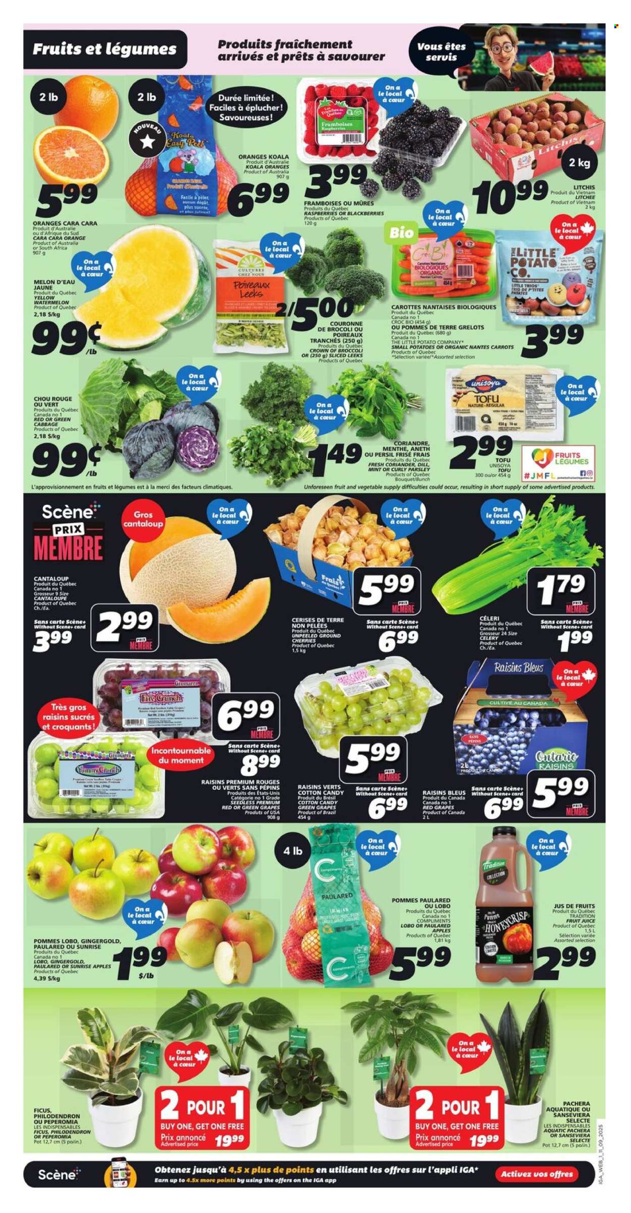 IGA flyer - September 11, 2025 - September 17, 2025. Page 3