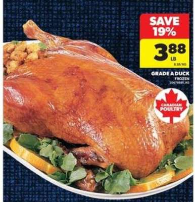 GRADE A DUCK