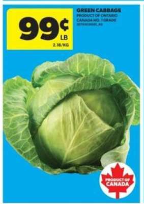 GREEN CABBAGE