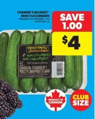 FARMER'S MARKET MINI CUCUMBERS