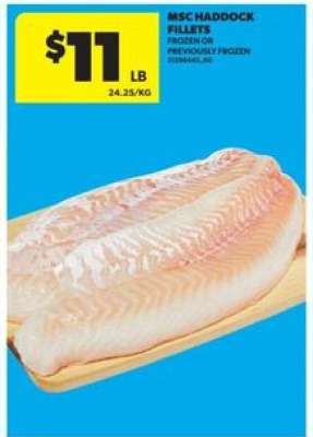 MSC Haddock Fillets