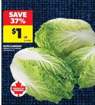NAPA CABBAGE