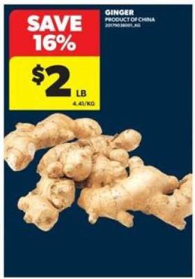 GINGER
