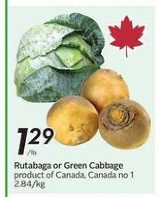 Rutabaga or Green Cabbage