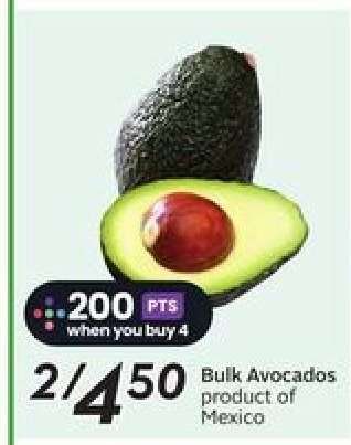 Bulk Avocados
