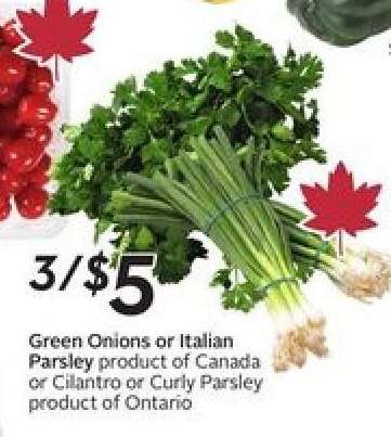 Green Onions or Parsley