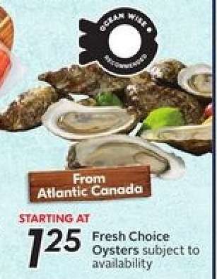 Fresh Choice Oysters